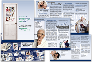12 Page Franchise Brochure